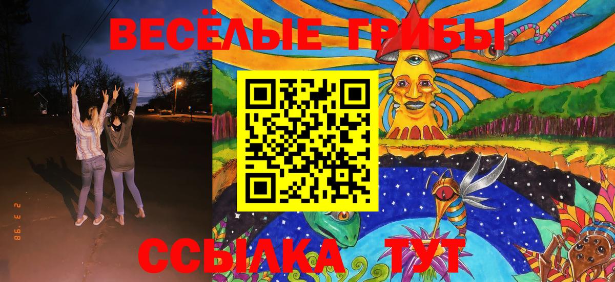 Псилоцибиновые грибы MAGIC MUSHROOMS Астрахань