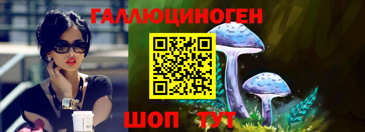 как найти наркотики  Галлюциногенные грибы Psilocybine cubensis  Галлюциногенные грибы ЛСД  Вход с VPN  Астрахань 