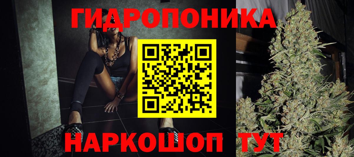Конопля план Астрахань